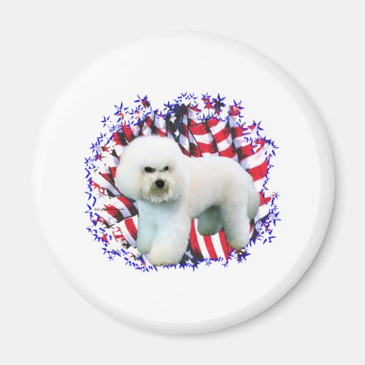 Bichon Frise Patriot Magneet (Voorkant)