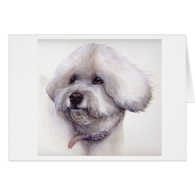 Bichon Frise peint en aquarelle (Devant horizontal)