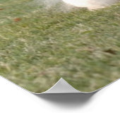 Bichon Frise Print (Hoek)