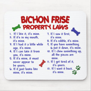 BICHON FRISE Property Laws 2 Muismat