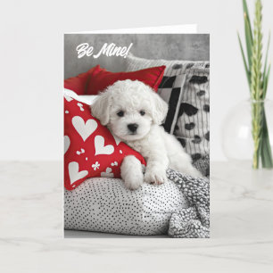 Bichon Frise Pup Valentijnskaart Bedankkaart
