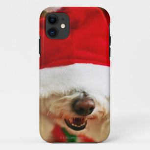 Bichon Frise pupil met kerstkleed iPhone 11 Hoesje
