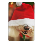 Bichon Frise pupil met kerstkleed Mini Klembord (Achterkant)