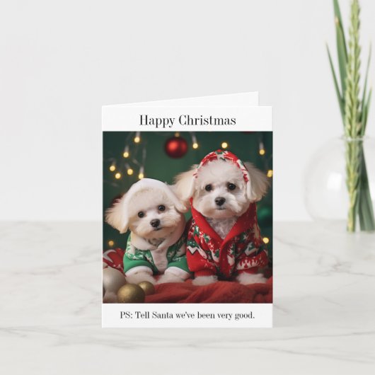 Bichon Frise Puppies Bonne Carte de Noël (Devant)
