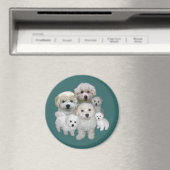 Bichon Frise Puppies Magnet Magneet (Insitu (Vaatwasser))