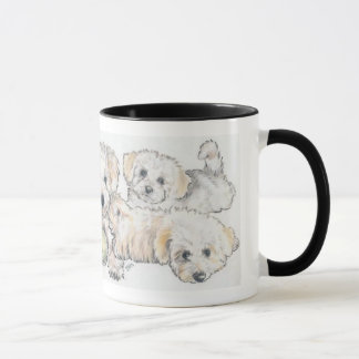 Bichon Frise Puppies Mok