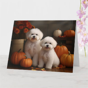 Bichon Frise Puppy Herfst Plezier Pompoen Kaart