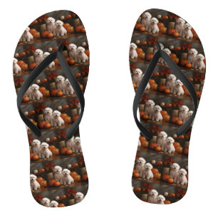 Bichon Frise Puppy Herfst Plezier Pompoen Teenslippers