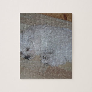 Bichon_Frise_puppy_slapen Legpuzzel