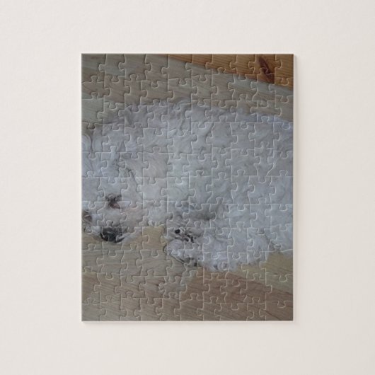 Bichon_Frise_puppy_slapen Legpuzzel (Verticaal)