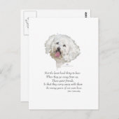 Bichon Frise Rainbow Bridge Briefkaart (Voorkant / Achterkant)