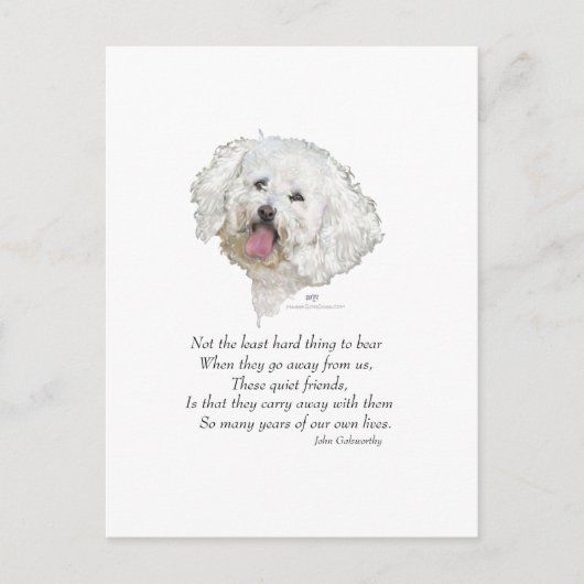 Bichon Frise Rainbow Bridge Briefkaart (Voorkant)