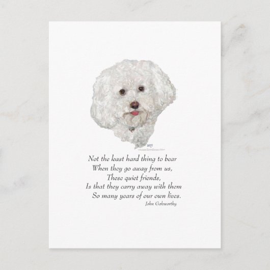 Bichon Frise Rainbow Bridge Briefkaart (Voorkant)