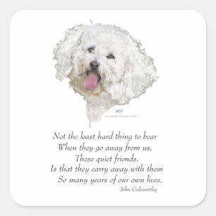 Bichon Frise Rainbow Bridge Vierkante Sticker