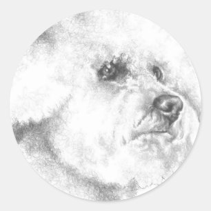 Bichon Frise Ronde Sticker