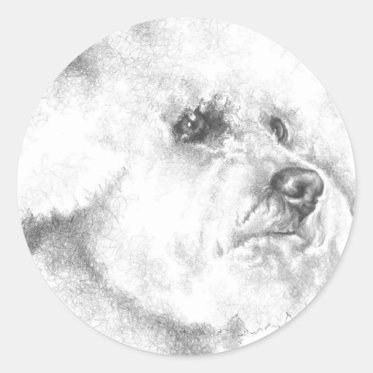Bichon Frise Ronde Sticker (Voorkant)