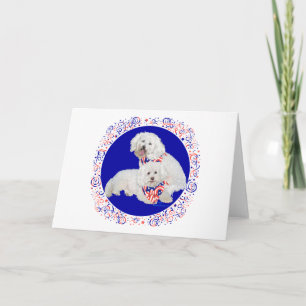 Bichon Frise Rood Wit Blauw Kaart