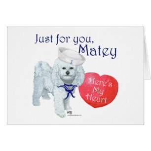 Bichon Frise Sailor Valentine