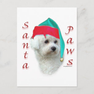 Bichon Frise Santa Paws Feestdagenkaart
