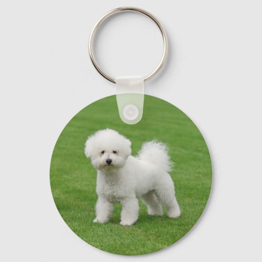 Bichon Frise Sleutelhanger (Voorkant)