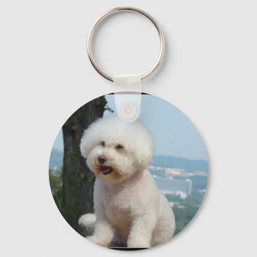 Bichon Frise Sleutelhanger (Voorkant)
