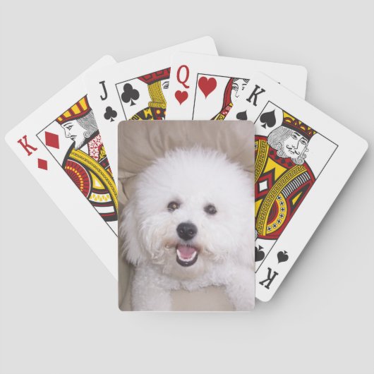 Bichon Frise Smiling Dog Playing Cards Pokerkaarten (Achterkant)