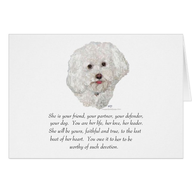 Bichon Frise Souvenir FEMELLE (Devant horizontal)