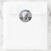 Bichon Frise Sticker Ronde (Tas)
