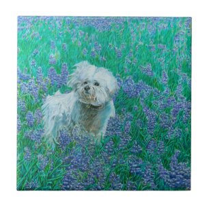 Bichon Frise Tegeltje