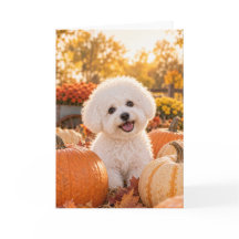 Bichon Frise Thanksgiving Kaart