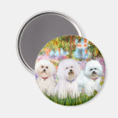 Bichon Frise Trio - Garden (VG) Magneet (Voorkant / Achterkant)