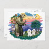 Bichon Frise (twee) Briefkaart (Voorkant / Achterkant)