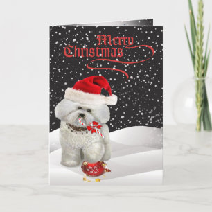 Bichon Frise Une Joyeuse Carte De Noël
