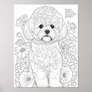 Bichon Frise volwassen kleuring Poster