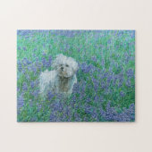 Bichon in Bluebonnets Legpuzzel (Horizontaal)