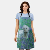 Bichon in Bluebonnets Schort (Gedragen)