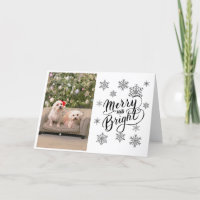 Bichon Maltese kerstboomkaart