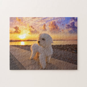 Bichon op de strand - uw foto is speciaal gemaakt legpuzzel