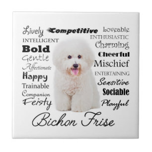 Bichon Traits Tile Tegeltje