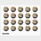 Bickadee Sur Un Sticker Post (Feuille)