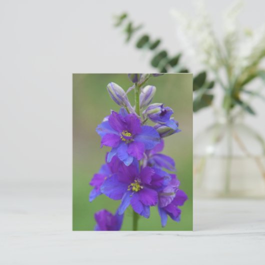 Bicolor Larkspur Briefkaart (Staand voorkant)