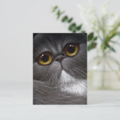 BICOLOR PERSIAN CAT-Briefkaart Briefkaart (Staand voorkant)