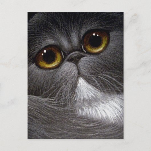 BICOLOR PERSIAN CAT-Briefkaart Briefkaart (Voorkant)