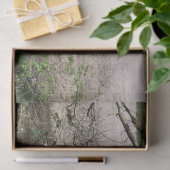 BICYCLES TISSUEPAPIER (Geschenk)