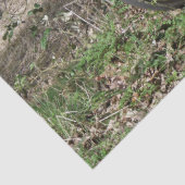 BICYCLES TISSUEPAPIER (Detail)