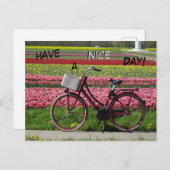 Bicyclette à Tulips Field Avoir une carte postale  (Devant / Derrière)