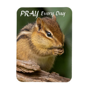 Bid elke dag Chipmunk Magneet