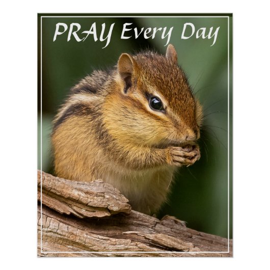 Bid elke dag Chipmunk Perfect Poster (Voorkant)