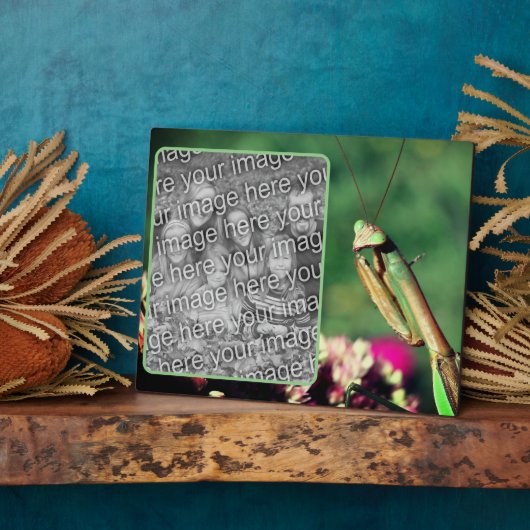 Bidden Mantis Creëer Uw eigen foto Fotoplaat (Zijkant)