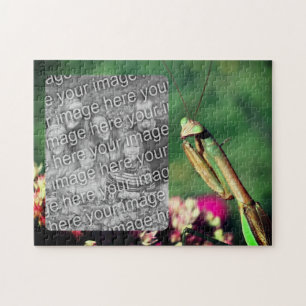 Bidden Mantis Lijst Creëer Je eigen foto Legpuzzel